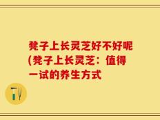 凳子上长灵芝好不好呢(凳子上长灵芝：值得一试的养生方式