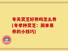 冬天灵芝好养吗怎么养(冬季种灵芝：简单易养的小技巧)