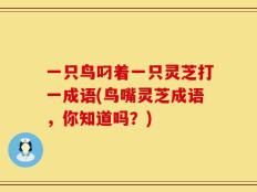 一只鸟叼着一只灵芝打一成语(鸟嘴灵芝成语，你知道吗？)