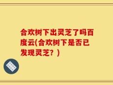 合欢树下出灵芝了吗百度云(合欢树下是否已发现灵芝？)