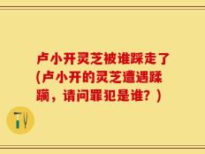 卢小开灵芝被谁踩走了(卢小开的灵芝遭遇蹂躏，请问罪犯是谁？)