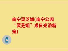 南宁灵芝姐(南宁公园“灵芝姐”成日光浴新宠)