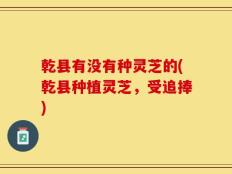 乾县有没有种灵芝的(乾县种植灵芝，受追捧)