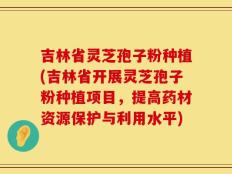 吉林省灵芝孢子粉种植(吉林省开展灵芝孢子粉种植项目，提高药材资源保护与利用水平)