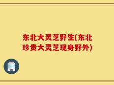 东北大灵芝野生(东北珍贵大灵芝现身野外)
