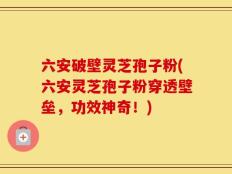 六安破壁灵芝孢子粉(六安灵芝孢子粉穿透壁垒，功效神奇！)