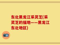东北黑龙江采灵芝(采灵芝的福地——黑龙江东北地区)