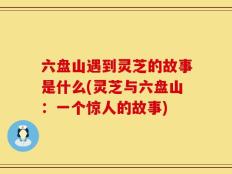 六盘山遇到灵芝的故事是什么(灵芝与六盘山：一个惊人的故事)