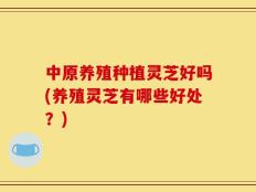 中原养殖种植灵芝好吗(养殖灵芝有哪些好处？)