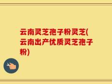 云南灵芝孢子粉灵芝(云南出产优质灵芝孢子粉)