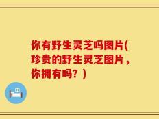 你有野生灵芝吗图片(珍贵的野生灵芝图片，你拥有吗？)