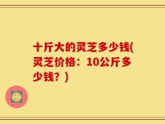 十斤大的灵芝多少钱(灵芝价格：10公斤多少钱？)