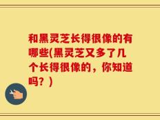 和黑灵芝长得很像的有哪些(黑灵芝又多了几个长得很像的，你知道吗？)