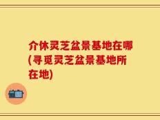 介休灵芝盆景基地在哪(寻觅灵芝盆景基地所在地)