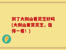 到了大别山看灵芝好吗(大别山里赏灵芝，值得一看！)