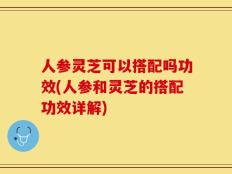 人参灵芝可以搭配吗功效(人参和灵芝的搭配功效详解)