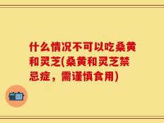 什么情况不可以吃桑黄和灵芝(桑黄和灵芝禁忌症，需谨慎食用)
