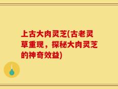 上古大肉灵芝(古老灵草重现，探秘大肉灵芝的神奇效益)
