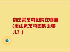 南庄灵芝鸡团购在哪里(南庄灵芝鸡团购去哪儿？)