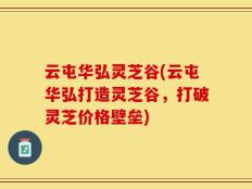 云屯华弘灵芝谷(云屯华弘打造灵芝谷，打破灵芝价格壁垒)