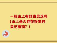 一般山上有野生灵芝吗(山上是否存在野生的灵芝植物？)