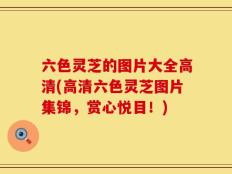 六色灵芝的图片大全高清(高清六色灵芝图片集锦，赏心悦目！)