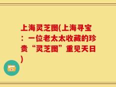 上海灵芝图(上海寻宝：一位老太太收藏的珍贵“灵芝图”重见天日)