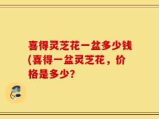 喜得灵芝花一盆多少钱(喜得一盆灵芝花，价格是多少？