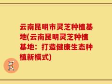 云南昆明市灵芝种植基地(云南昆明灵芝种植基地：打造健康生态种植新模式)