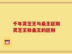 千年灵芝王与桑王区别灵芝王和桑王的区别