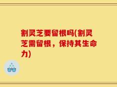 割灵芝要留根吗(割灵芝需留根，保持其生命力)