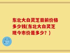 东北大白灵芝目前价格多少钱(东北大白灵芝现今市价是多少？)