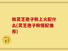和灵芝孢子粉上火配什么(灵芝孢子粉搭配推荐)