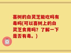 喜树的白灵芝能吃吗有毒吗(可以喜树上的白灵芝食用吗？了解一下是否有毒。)