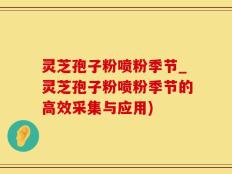 灵芝孢子粉喷粉季节_灵芝孢子粉喷粉季节的高效采集与应用)