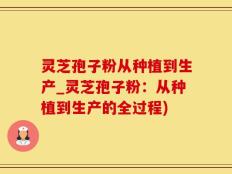 灵芝孢子粉从种植到生产_灵芝孢子粉：从种植到生产的全过程)