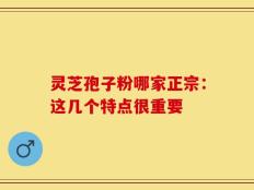 灵芝孢子粉哪家正宗：这几个特点很重要