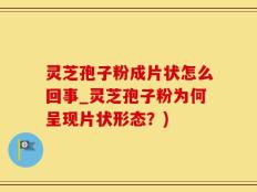 灵芝孢子粉成片状怎么回事_灵芝孢子粉为何呈现片状形态？)