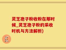 灵芝孢子粉收粉在那时候_灵芝孢子粉的采收时机与方法解析)