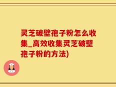 灵芝破壁孢子粉怎么收集_高效收集灵芝破壁孢子粉的方法)