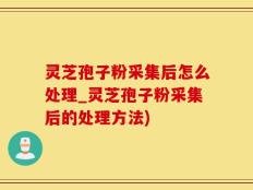 灵芝孢子粉采集后怎么处理_灵芝孢子粉采集后的处理方法)