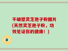 不破壁灵芝孢子粉图片(天然灵芝孢子粉，功效见证你的健康！)