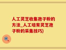 人工灵芝收集孢子粉的方法_人工培育灵芝孢子粉的采集技巧)
