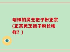 啥样的灵芝孢子粉正宗(正宗灵芝孢子粉长啥样？)