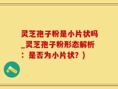 灵芝孢子粉是小片状吗_灵芝孢子粉形态解析：是否为小片状？)