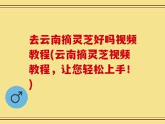 去云南摘灵芝好吗视频教程(云南摘灵芝视频教程，让您轻松上手！)