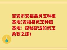 吉安市安福县灵芝种植基地(安福县灵芝种植基地：探秘舒适的灵芝柔软之床)