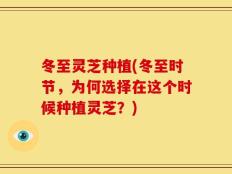 冬至灵芝种植(冬至时节，为何选择在这个时候种植灵芝？)