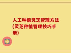 人工种植灵芝管理方法(灵芝种植管理技巧手册)