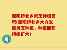原阳桥北乡灵芝种植面积(原阳桥北乡大力发展灵芝种植，种植面积持续扩大)